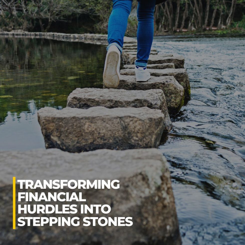 Curated visual reference: High Finance Fully Prepared Stepping Stone Aquarium Setup Reference: Finance Stepping Stone