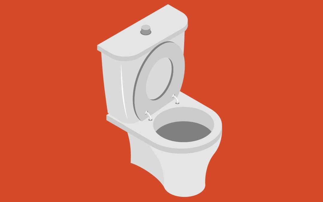 PB International Men's Day & Toilet Day Content Monarchy