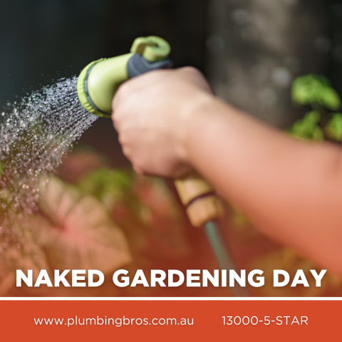 PB - Naked Gardening Day 2025 - Content Monarchy